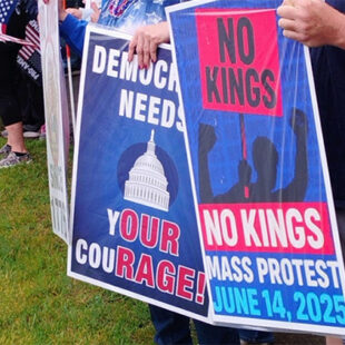 feat-our-rage-signs.jpg YES! Democracy Desperately Needs Your Courage & Our Collective Action