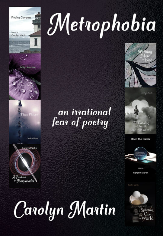 Metrophobia (Paperback)