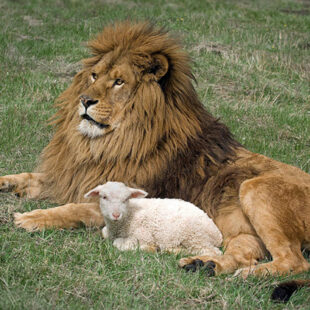 MARCHing Orders for 2026